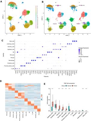 Construction of EMT related prognostic signature for kidney renal clear cell carcinoma, through integrating bulk and single-cell gene expression profiles